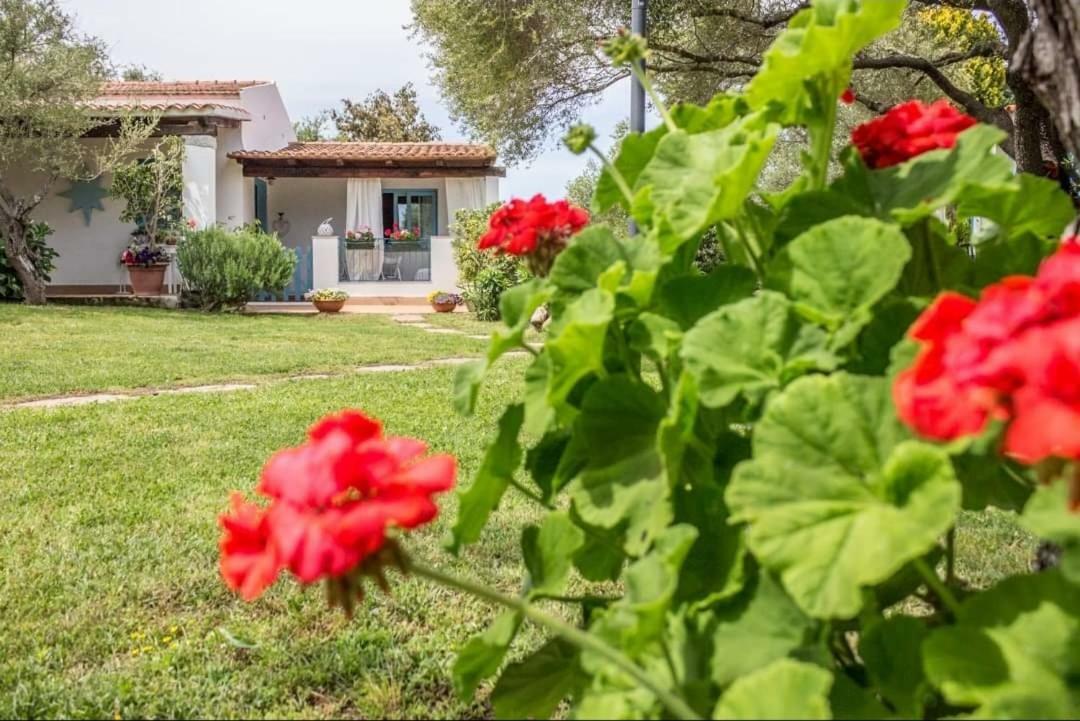 Il Falco Casa Vacanze - Cugnana - Porto Rotondo Εξωτερικό φωτογραφία